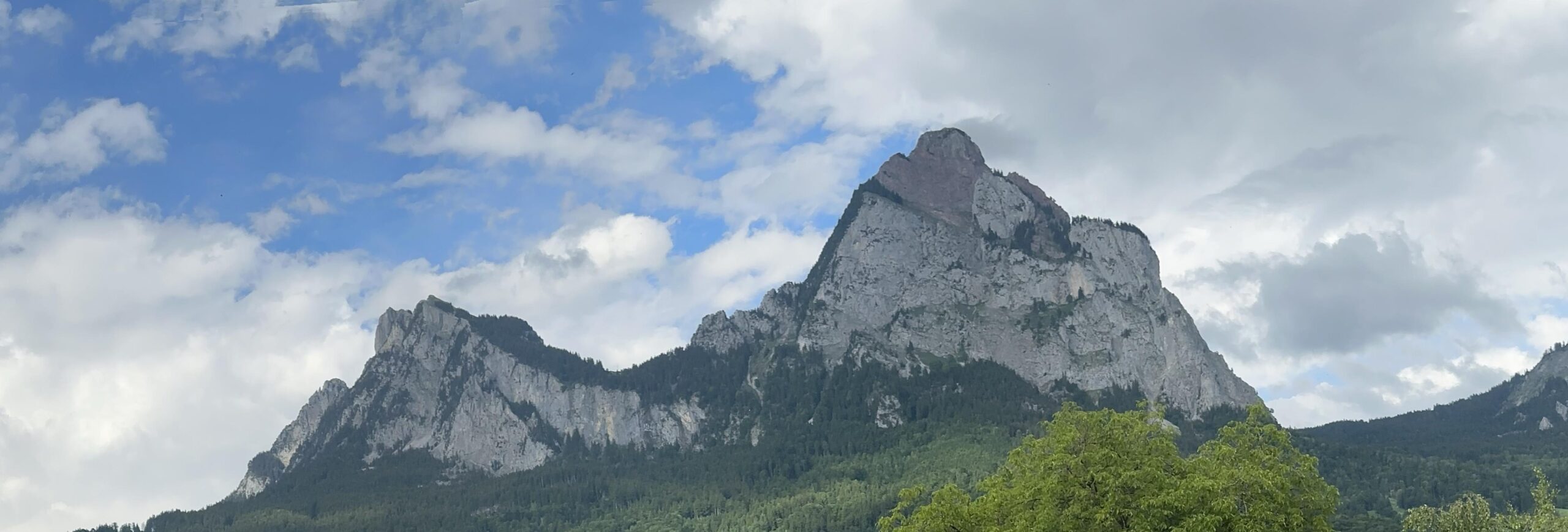 Homepage Titelbild F