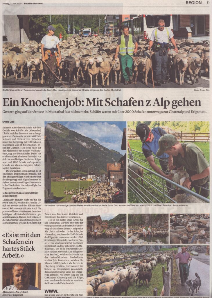 Alex Ulrich
Erhard Gick, Bote der Urschweiz, 2020, Ze391